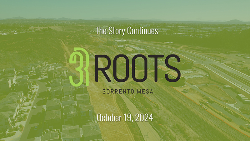 Construction update at 3Roots in Sorrento Mesa